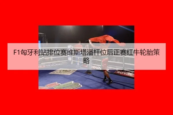F1匈牙利站排位赛维斯塔潘杆位后正赛红牛轮胎策略